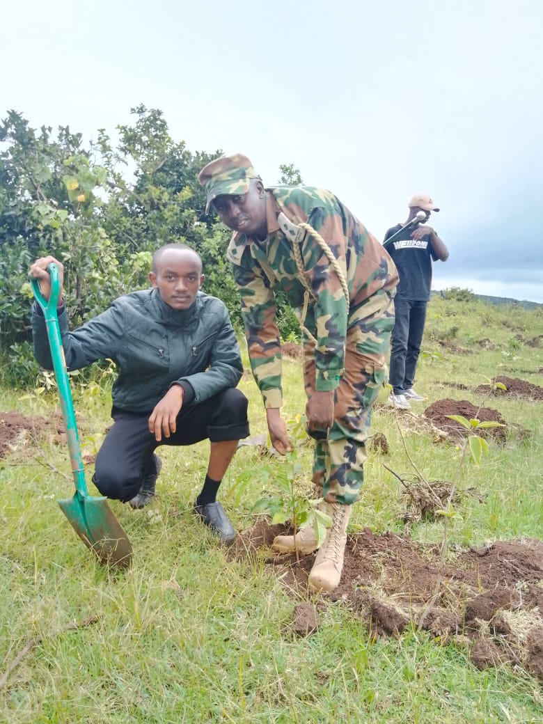 Ngong Hills reforestation initiative